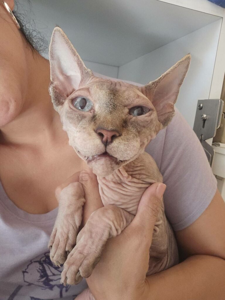 034d595eebf5484f8290bffd558cd29b-768x1024