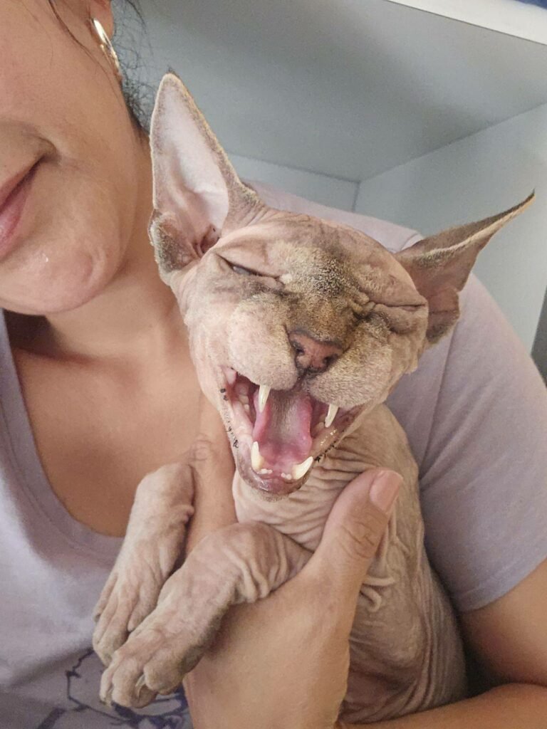 5ceb58b720024b4488a01399ac2588df-768x1024