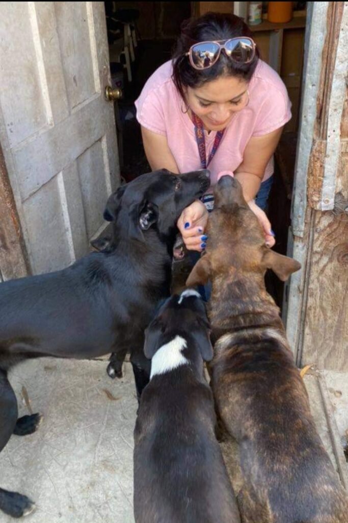 Screenshot_20220516-135358_Gallery-683x1024